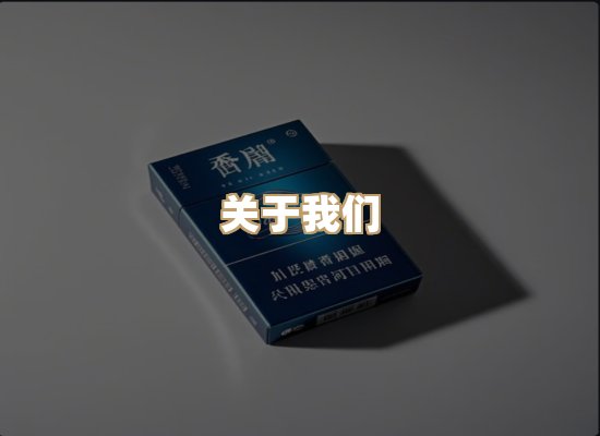 关于蓝帝网